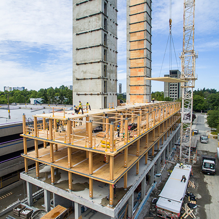Tall Mass Timber Building, Florida Construction