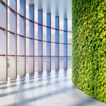 Green office spaces