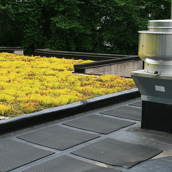 Commerical green Roofing, Lake Buena Vista FL